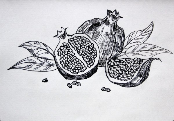 Натюрморт гелевой ручкой