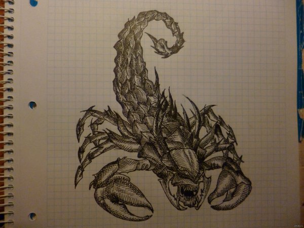 Скорпион черной ручкой