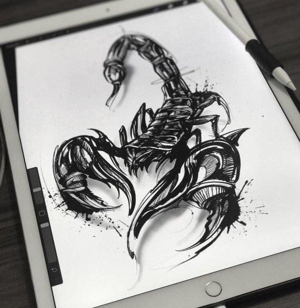 Скорпион вип шейдинг