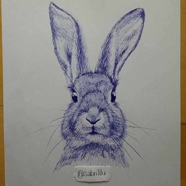 Наброски ручкой кролики