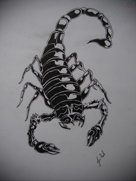 Скорпион тату эскиз