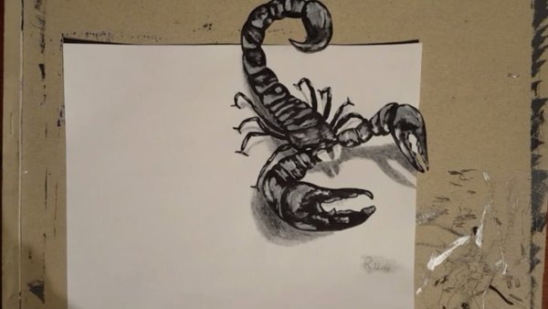 Скорпион ручкой