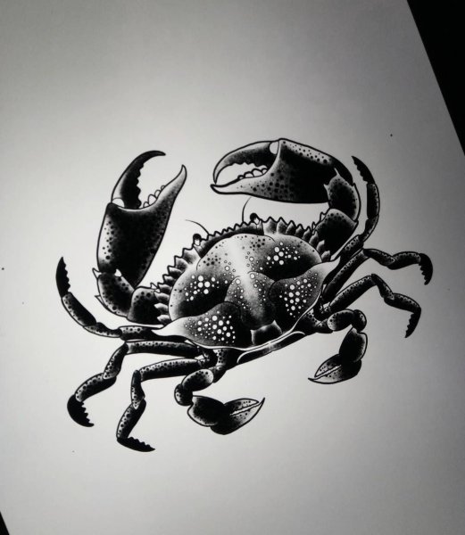 Краб гравюра