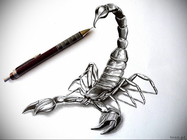 Скорпион тату эскиз