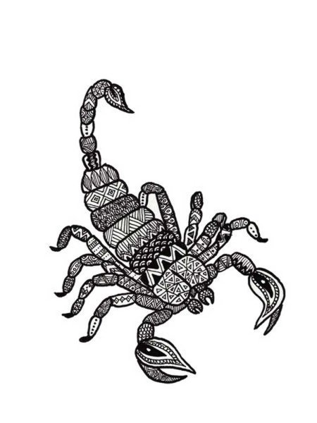 Скорпион раскраска