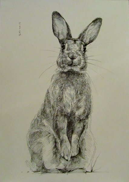 Кролик в графике