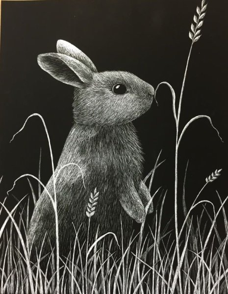 Граттаж кролик