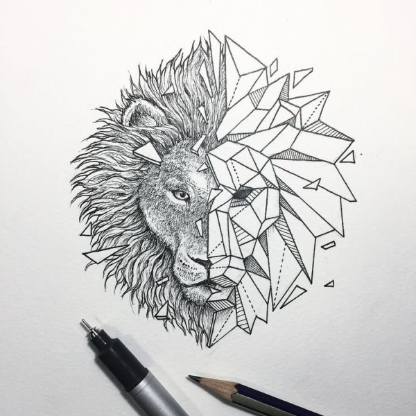 Графика животные