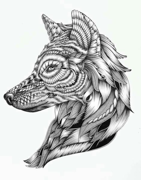 Керби Розанес геометрические звери