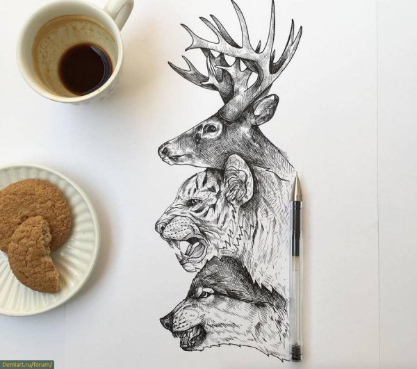 Медведь гелевой ручкой