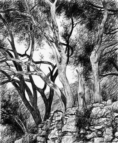 Графический пейзаж гелевой ручкой