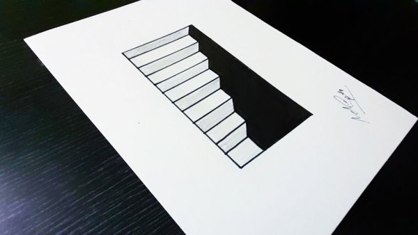 Тетрадки с оптической иллюзией