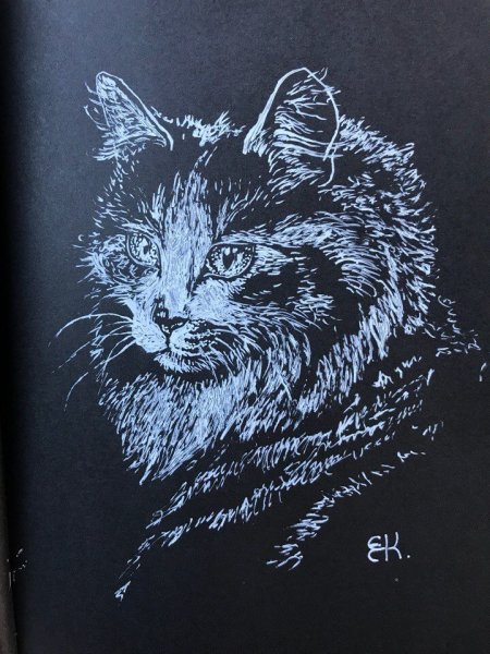 Граттаж тигр