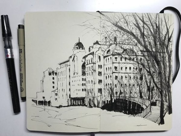 Альфред баша (Alfred Basha) рисунки птиц