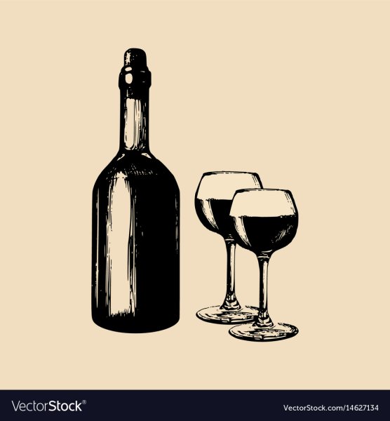 Вино эскиз