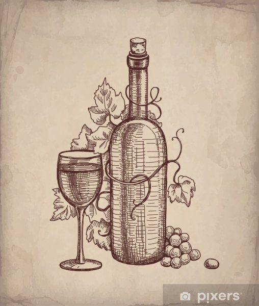Бутылка в графике
