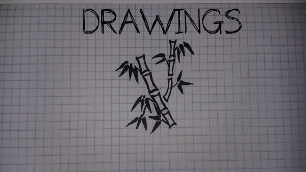 Бамбук эскиз