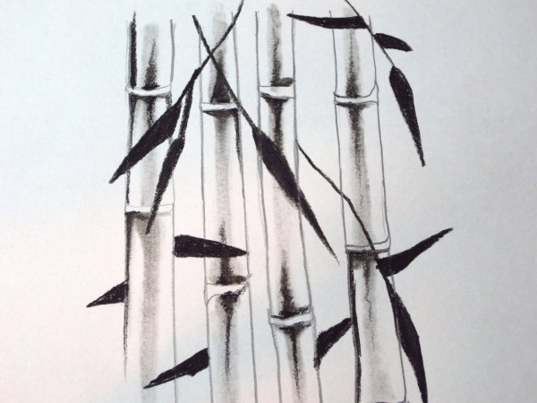 Трафарет бамбука на стену