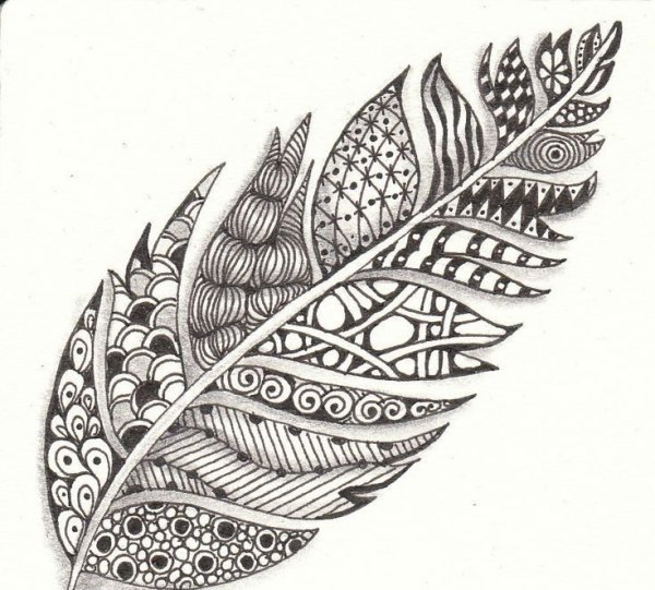 Перо павлина Зентангл