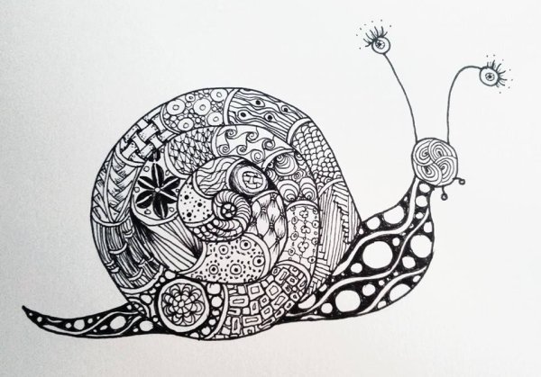 Зенарт черепаха