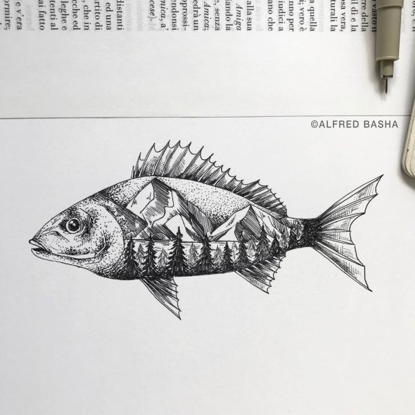 Зарисовки рыб ручкой