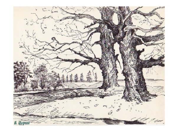 Дерево гелевой ручкой