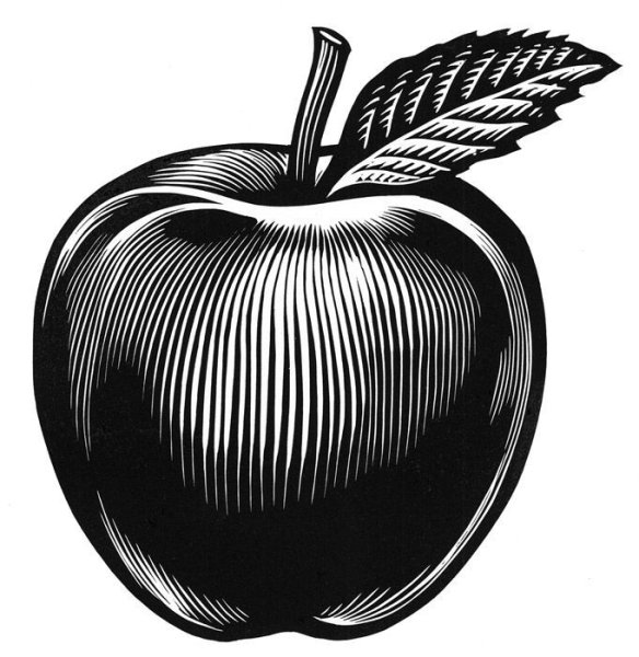 Яблоко черно белое