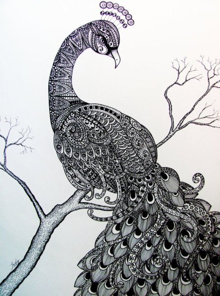 Птицы черной гелевой ручкой