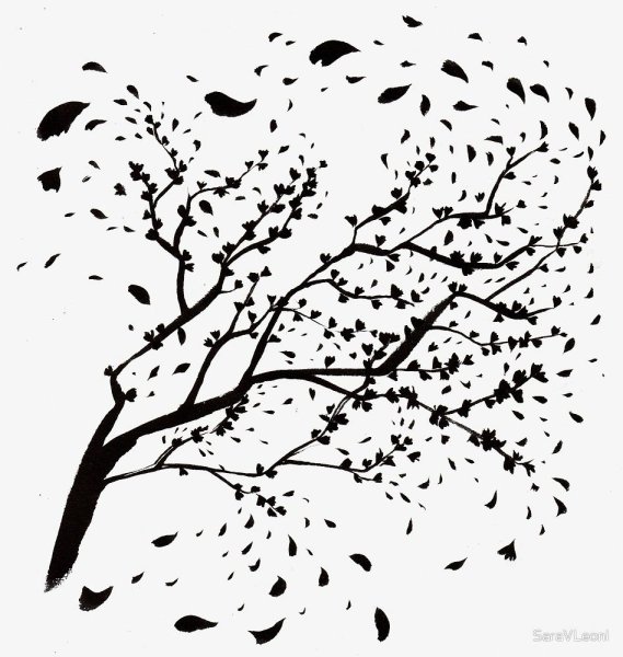 Ветка Сакуры черной ручкой