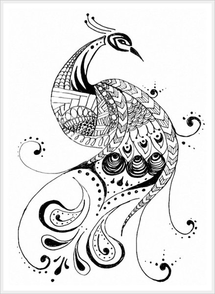 Сказочная птица Графика