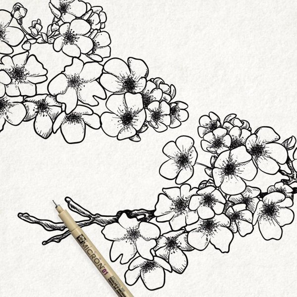 Линер Сакура