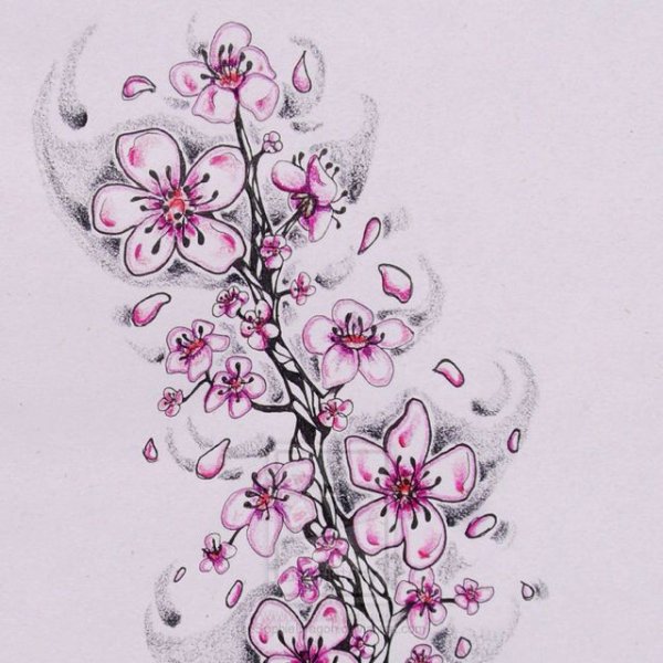 Ветка Сакуры тату эскиз