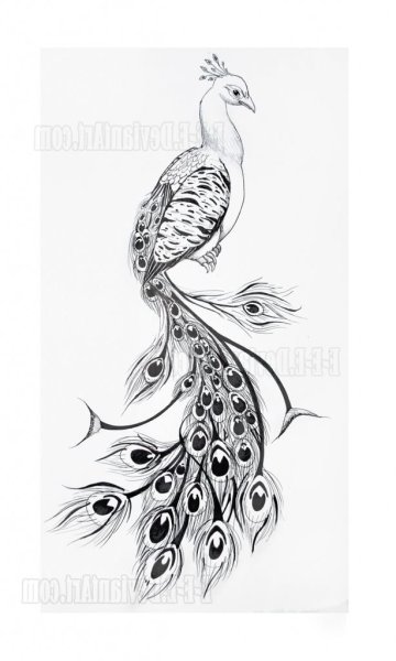 Птицы декоративное изображение