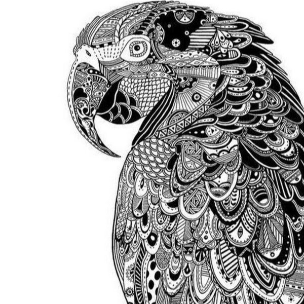 Рисунок павлина для скетчбука