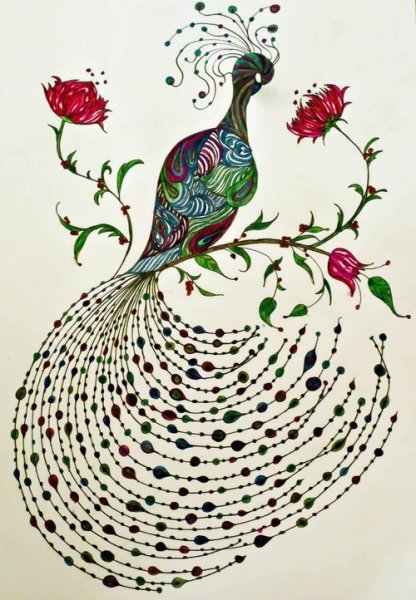 Павлин набросок