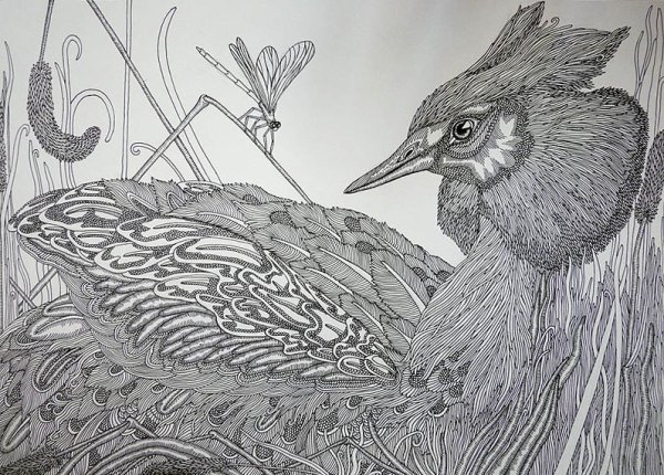 Перо павлина Зентангл