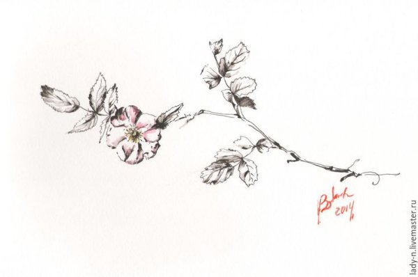 Веточка цветов в графике