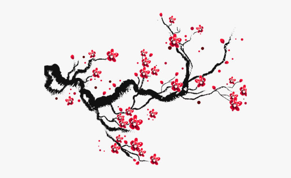 Сакура рисунок карандашом без фона