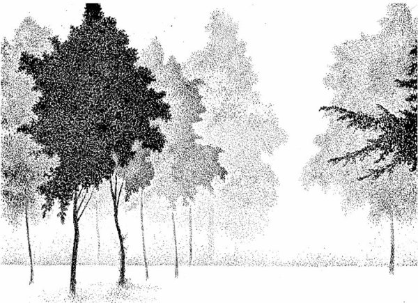 Точечная штриховка тушью