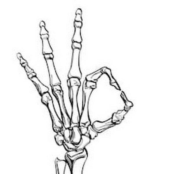 Кисть скелета на белом фоне