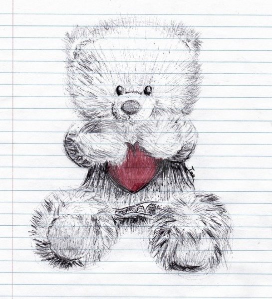 Красивый мишка карандашом