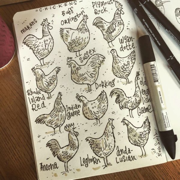 Надписи для скетчбука