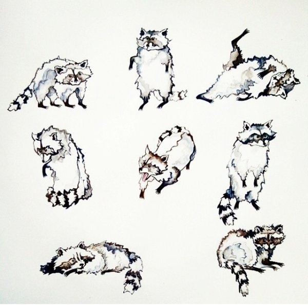 Енот стилизация