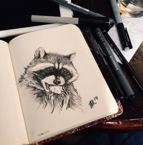 Енот черной ручкой