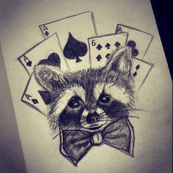 Тату енот эскизы для девушек