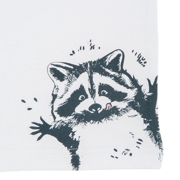 Енот Графика