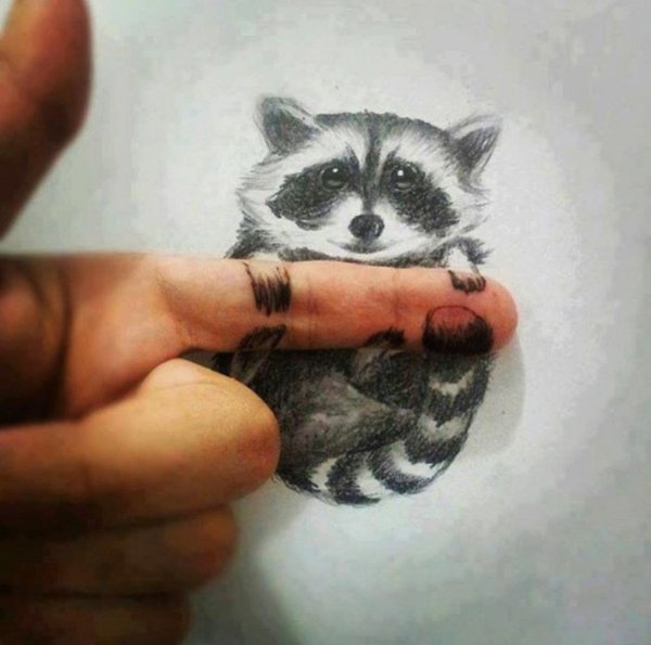 Енот цветными карандашами