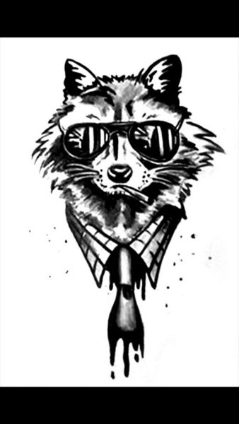 Эскизы енотов