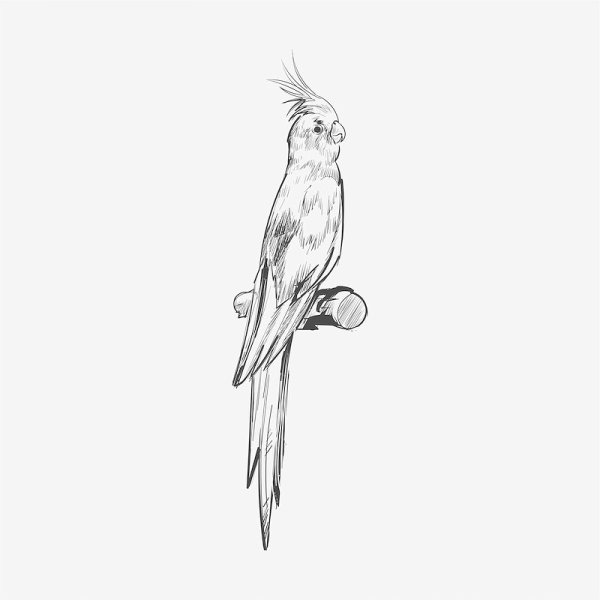 Раскраска для гелевых ручек