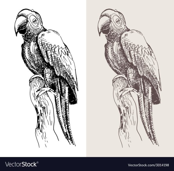 Стилизация Какаду